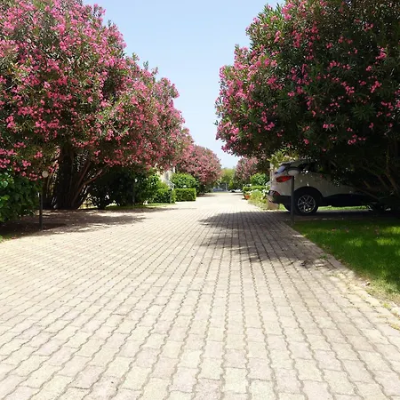 Giallomare * Marzamemi